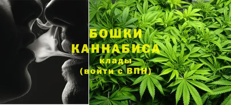 Марихуана Bruce Banner  Аркадак 